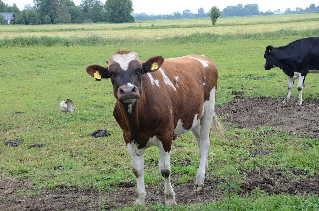 Farm Stay Hof Auf Der Wurp Harrierwurp Kültér fotó